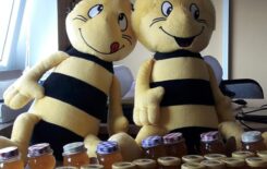 Więcej o: Warsztaty pszczelarskie